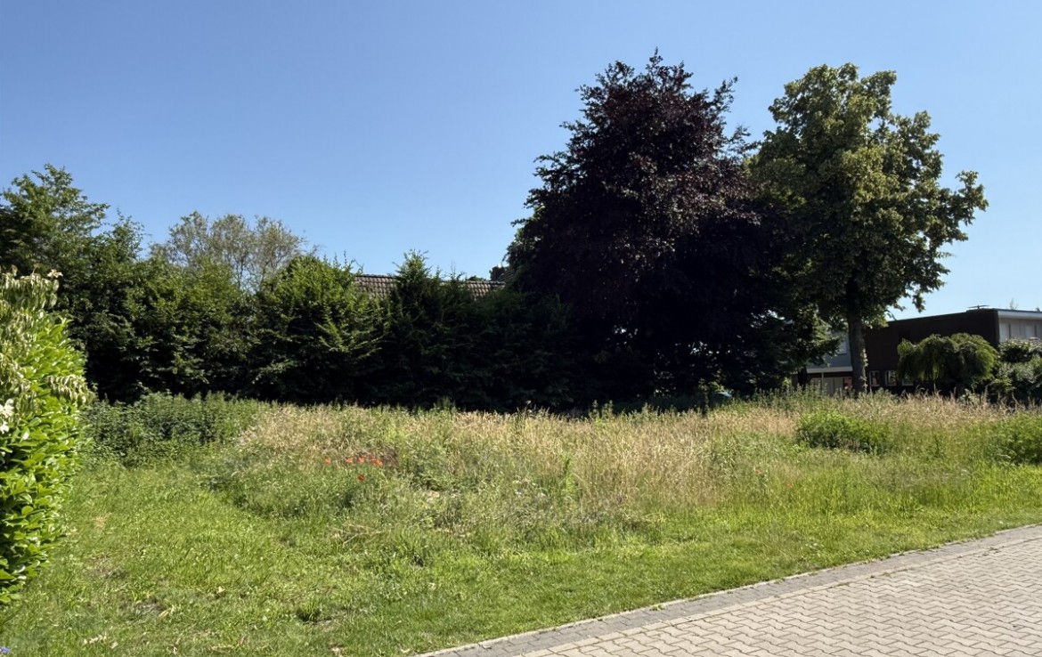 Grundstück