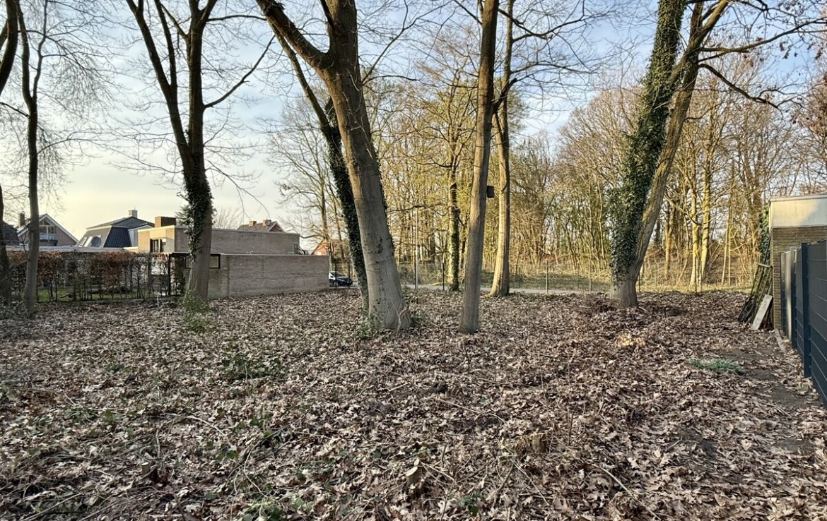 Grundstück