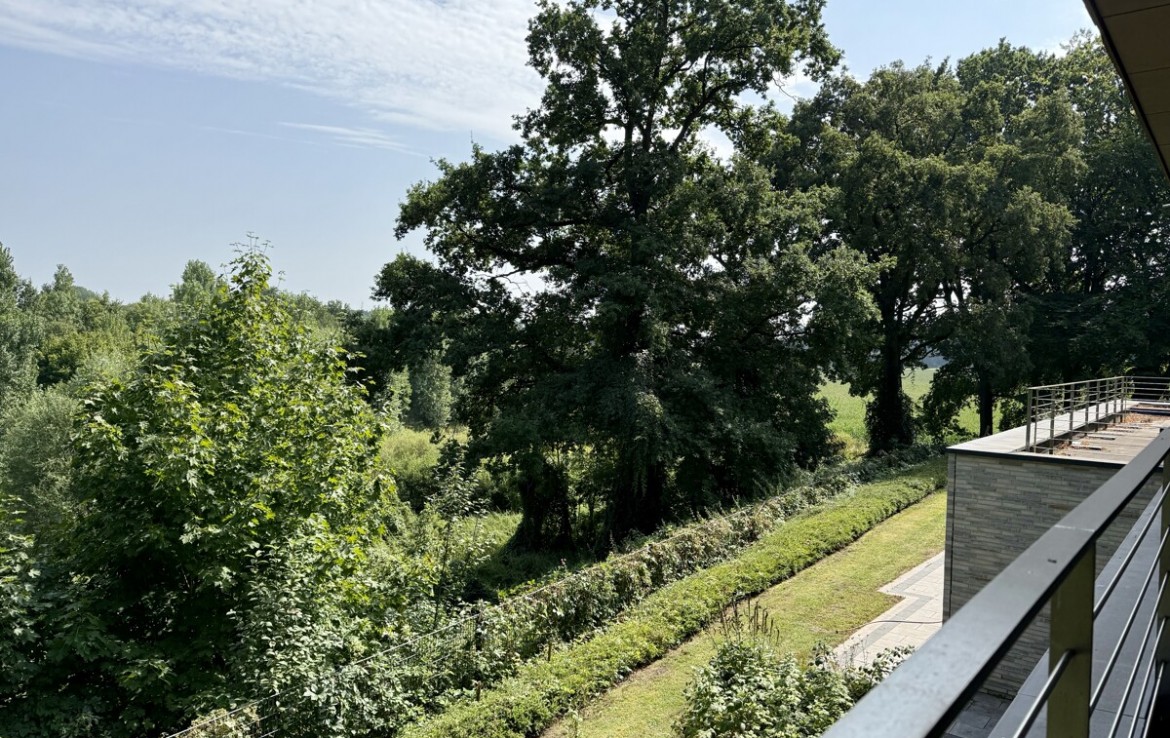 Blick auf die Ems